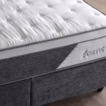 Fortis